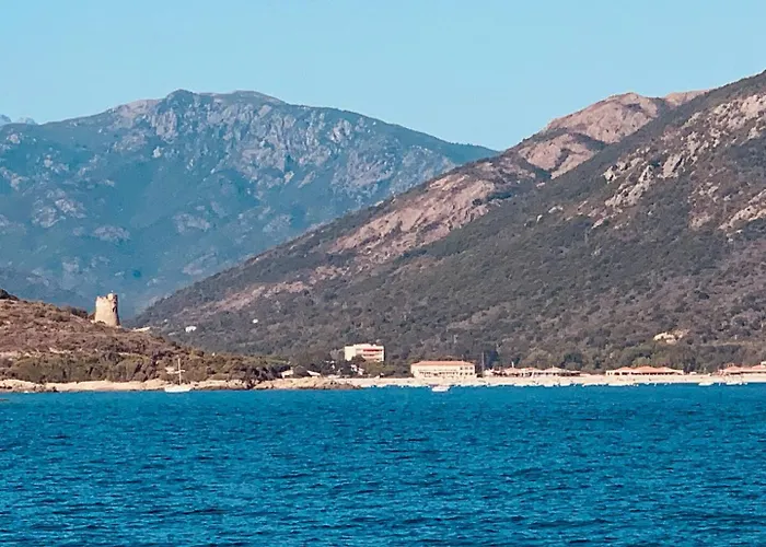 Le Cosy Corse * Vico