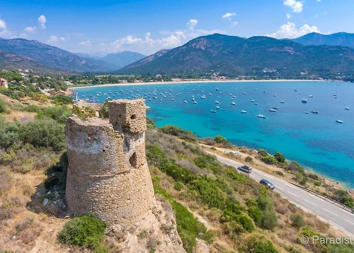 Le Cosy Corse * Vico